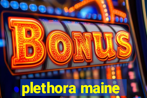 plethora maine